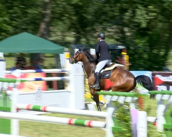 Bremen - Reitanlage Forkert 2014