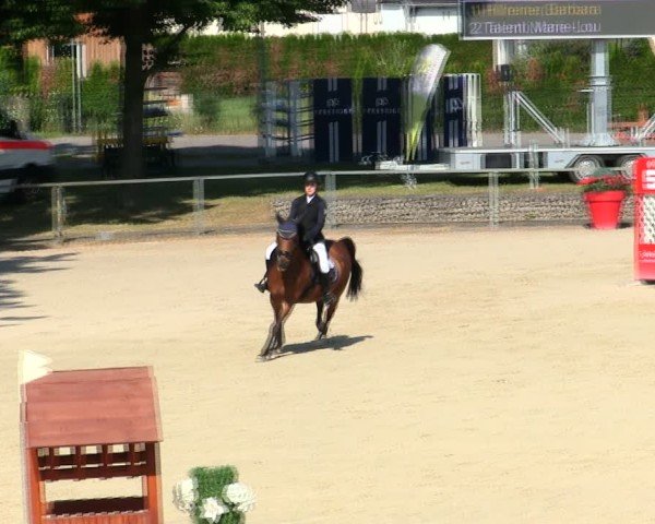 Reitturnier Ingolstadt-Hagau/Obb. 2025