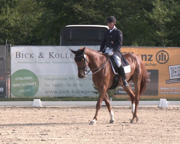 Reitturnier Heiligenwald 2025
