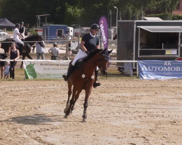 Reitturnier Heiligenwald 2025
