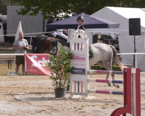 Reitturnier Heiligenwald 2025