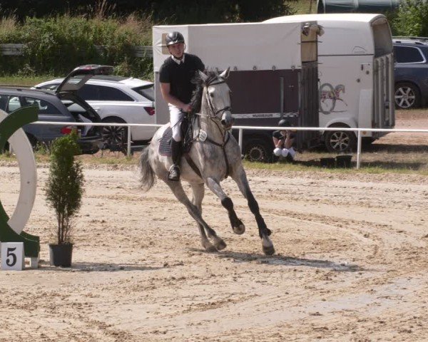 Reitturnier Heiligenwald 2025