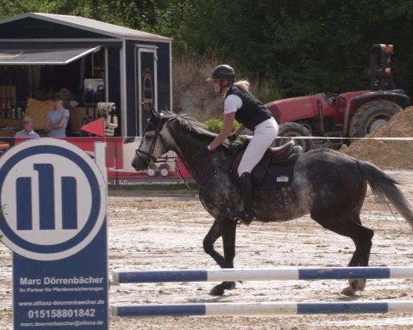 Reitturnier Heiligenwald 2025