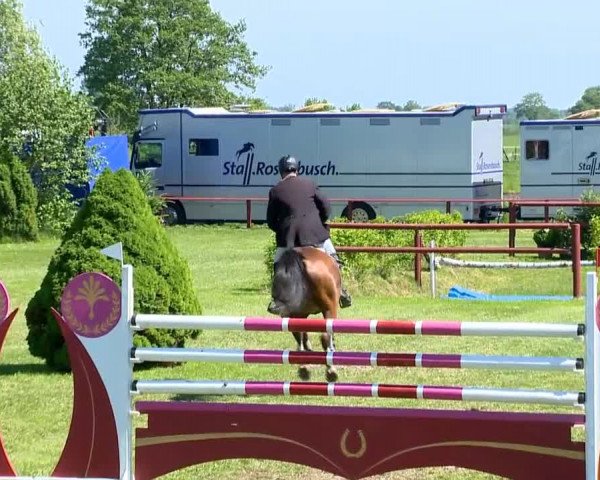 Bremen - Reitanlage Forkert 2014