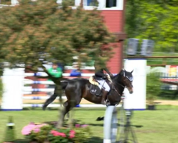 Bremen - Reitanlage Forkert 2014