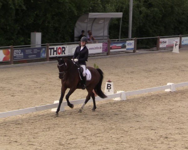 Reitturnier Uder, Reitanlage Kobold 2025