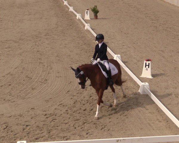 Reitturnier Uder, Reitanlage Kobold 2025