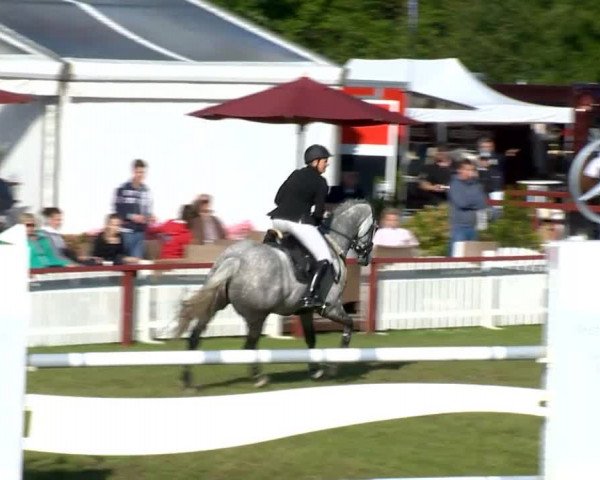 Bremen - Reitanlage Forkert 2014