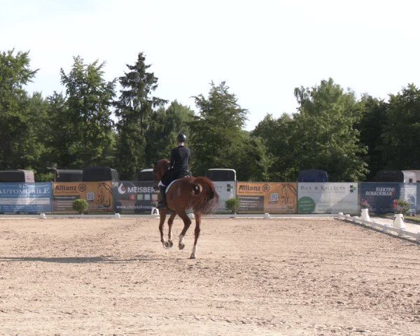 Reitturnier Heiligenwald 2025