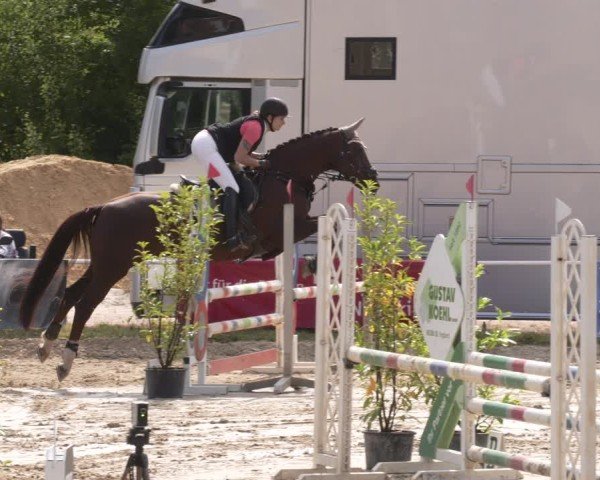Reitturnier Heiligenwald 2025