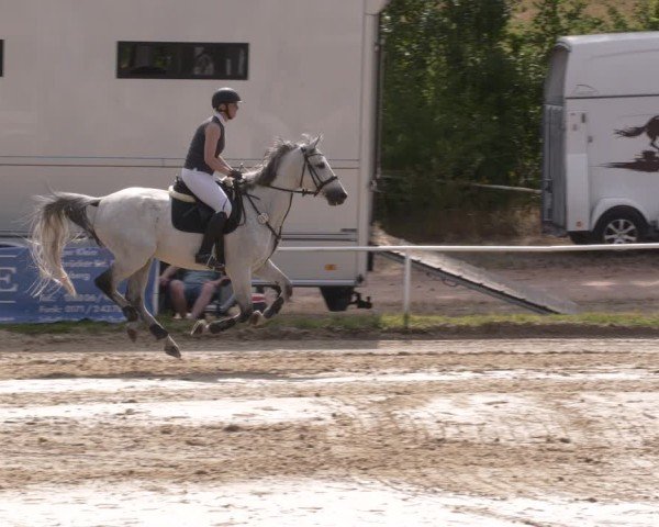 Reitturnier Heiligenwald 2025