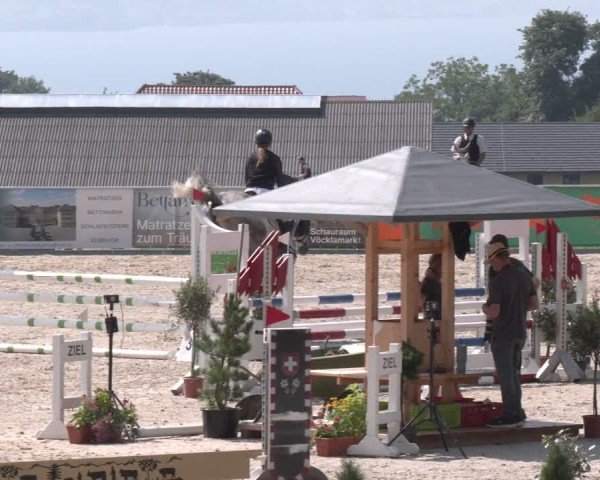 Springturnier Seewalchen 2025