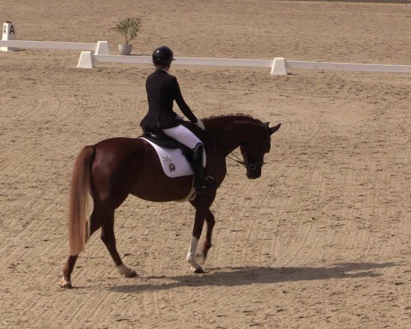 Reitturnier Uder, Reitanlage Kobold 2025