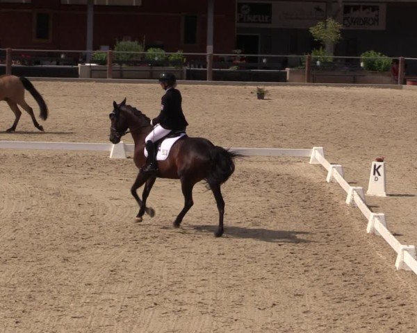 Reitturnier Uder, Reitanlage Kobold 2025