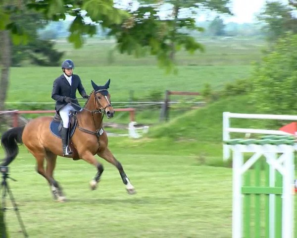 Bremen - Reitanlage Forkert 2014
