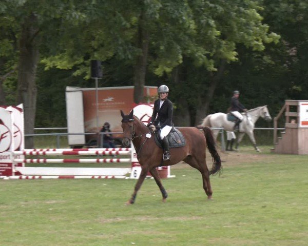 Reitturnier Wohlesbostel 2025