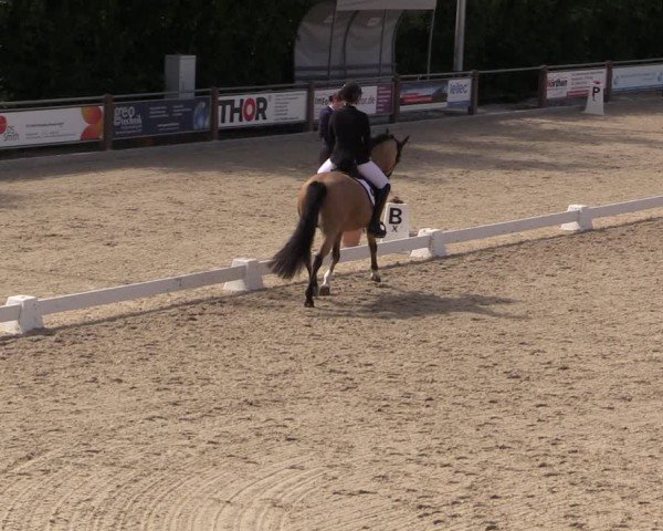 Reitturnier Uder, Reitanlage Kobold 2025