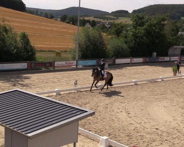 Reitturnier Uder, Reitanlage Kobold 2025