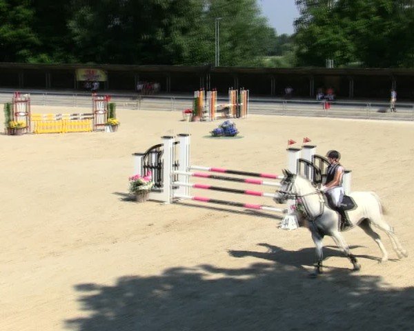 Reitturnier Ingolstadt-Hagau/Obb. 2025