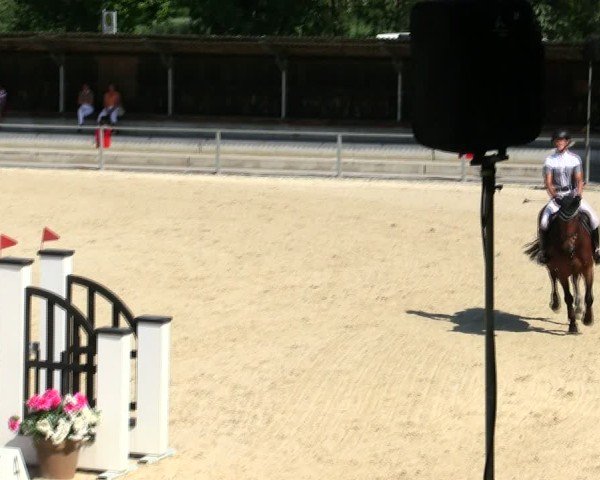 Reitturnier Ingolstadt-Hagau/Obb. 2025