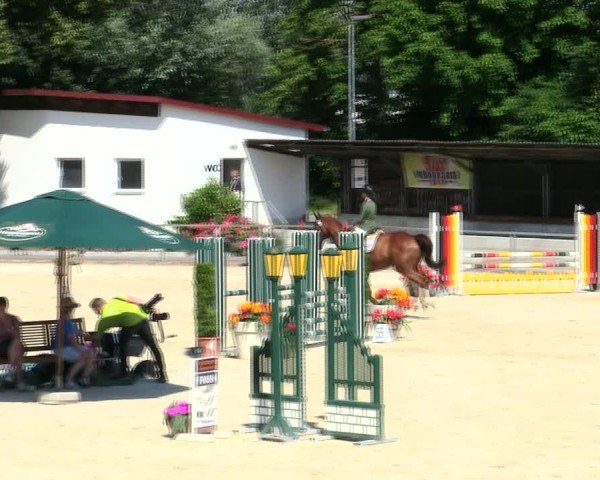 Reitturnier Ingolstadt-Hagau/Obb. 2025