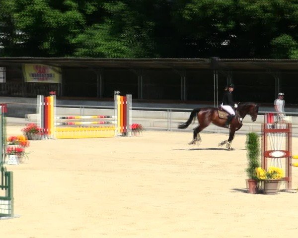 Reitturnier Ingolstadt-Hagau/Obb. 2025