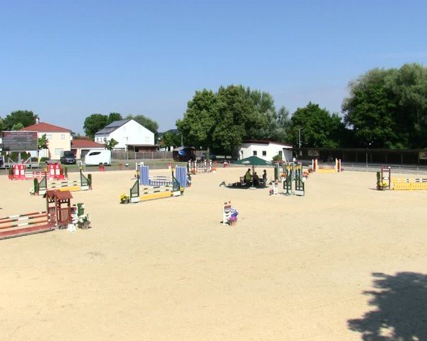 Reitturnier Ingolstadt-Hagau/Obb. 2025