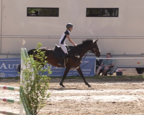 Reitturnier Heiligenwald 2025