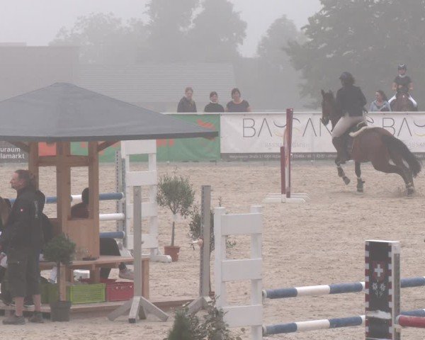 Springturnier Seewalchen 2025