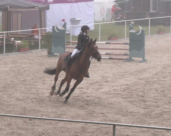 Springturnier Seewalchen 2025