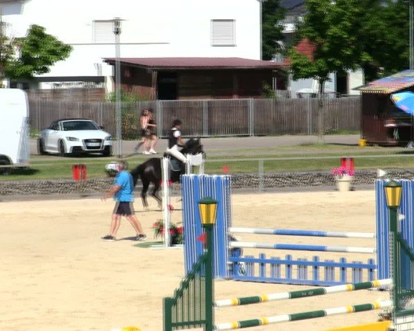 Reitturnier Ingolstadt-Hagau/Obb. 2025