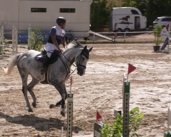 Reitturnier Heiligenwald 2025