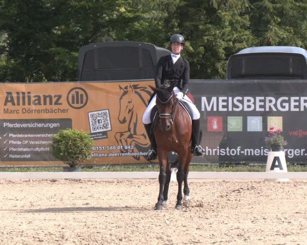 Reitturnier Heiligenwald 2025