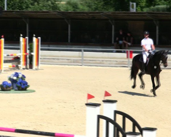 Reitturnier Ingolstadt-Hagau/Obb. 2025
