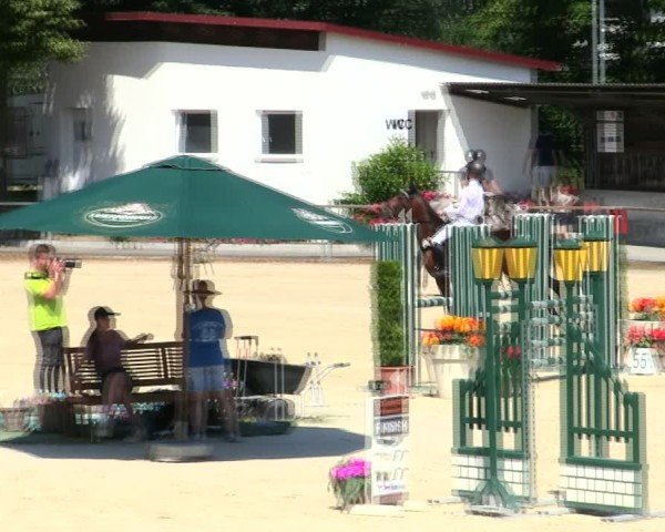 Reitturnier Ingolstadt-Hagau/Obb. 2025