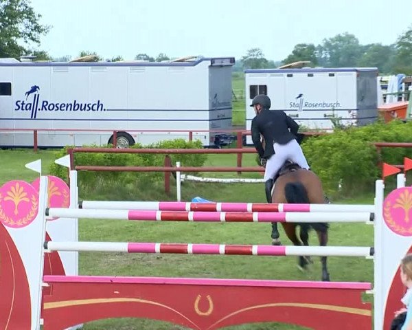 Bremen - Reitanlage Forkert 2014