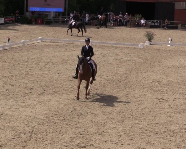 Reitturnier Uder, Reitanlage Kobold 2025