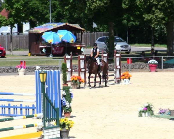 Reitturnier Ingolstadt-Hagau/Obb. 2025