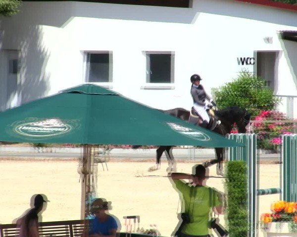 Reitturnier Ingolstadt-Hagau/Obb. 2025