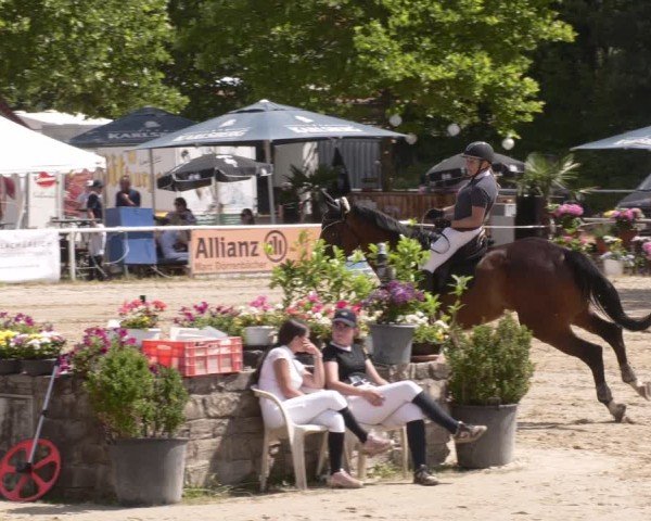 Reitturnier Heiligenwald 2025