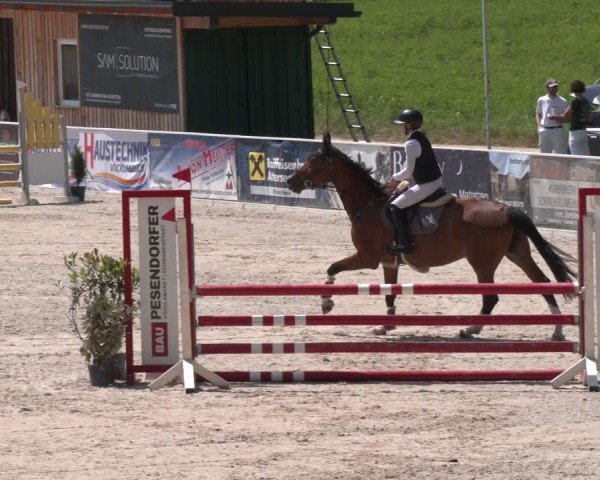 Springturnier Seewalchen 2025
