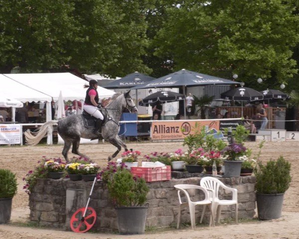 Reitturnier Heiligenwald 2025