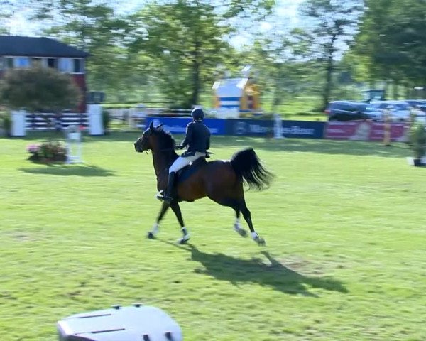 Bremen - Reitanlage Forkert 2014
