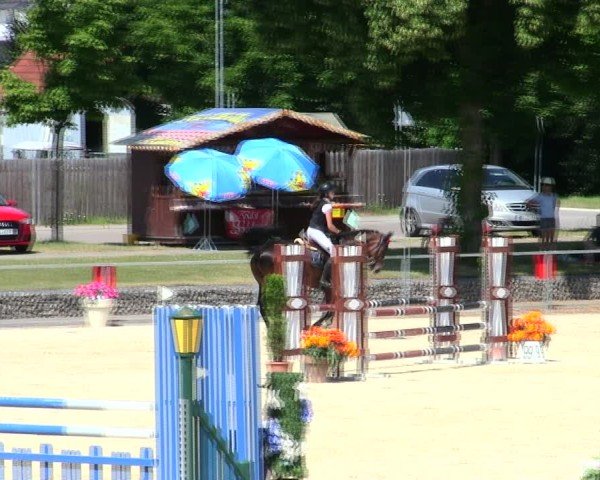 Reitturnier Ingolstadt-Hagau/Obb. 2025