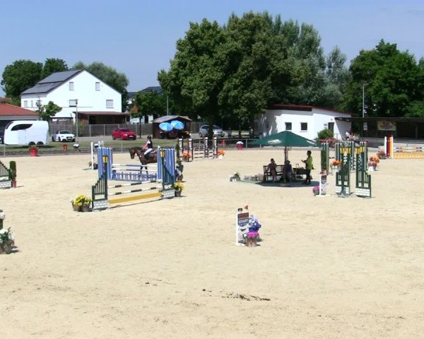 Reitturnier Ingolstadt-Hagau/Obb. 2025