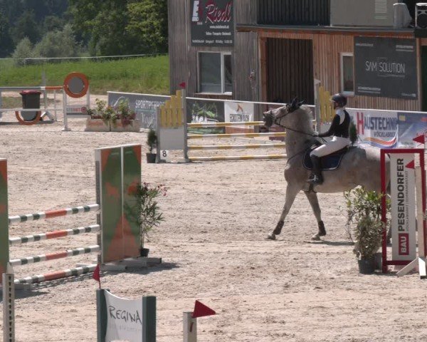 Springturnier Seewalchen 2025