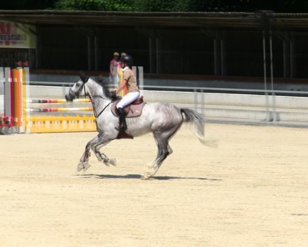 Reitturnier Ingolstadt-Hagau/Obb. 2025