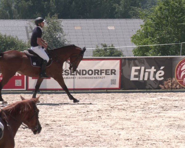 Springturnier Seewalchen 2025
