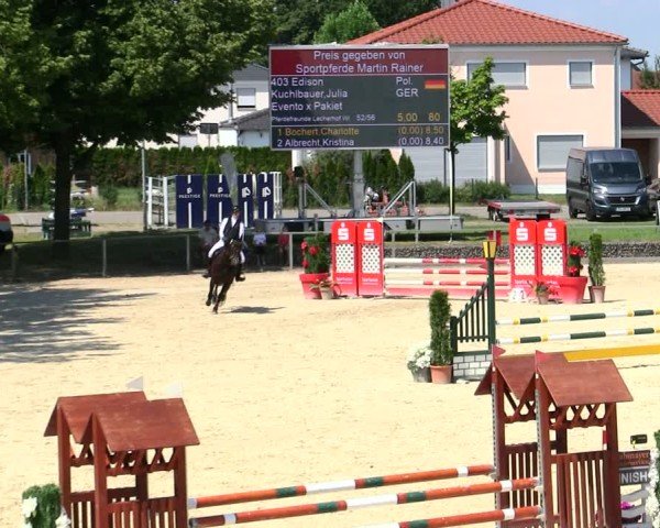 Reitturnier Ingolstadt-Hagau/Obb. 2025