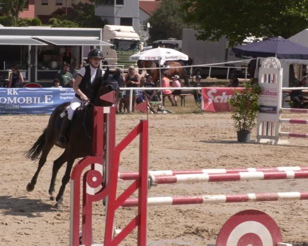 Reitturnier Heiligenwald 2025